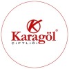 Karagöl